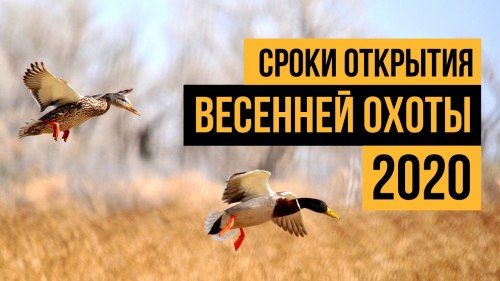 Открытие осенней охоты в 2020 году по регионам России!