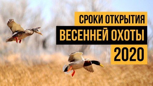 Открытие осенней охоты в 2020 году по регионам России! Открытие осенней охоты в 2020 году по регионам России!